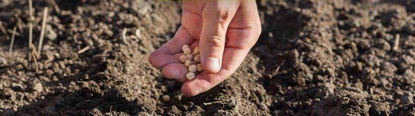 Evite desperdícios de sementes com as novas embreagens elétricas Trimble
