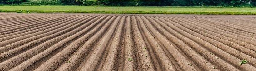 A importância do preparo do solo para o plantio