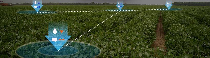 Inteligência artificial na irrigação