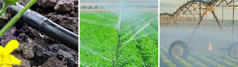 O que é e como funciona o sistema de manejo da irrigação?